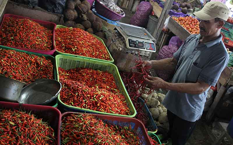  Pasokan Berkurang, Harga Cabai di Sulawesi Selatan Meroket