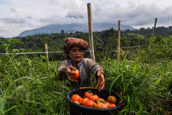  BPS: Biaya Barang Modal Petani Naik 1,64 Persen pada Februari 2022
