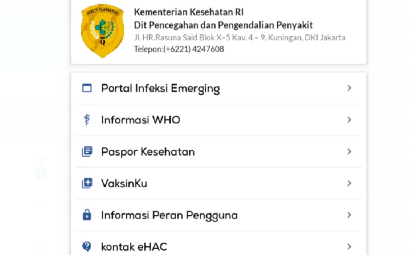  Aturan Baru! Penumpang Pesawat Wajib Isi e-HAC Sebelum Keberangkatan