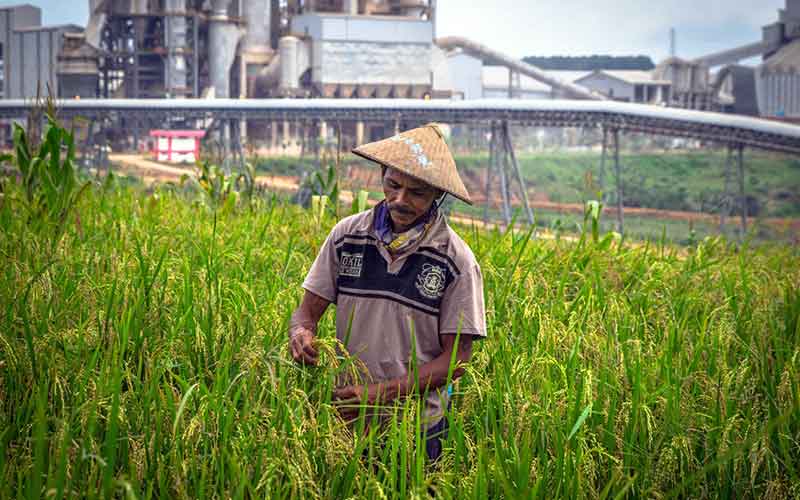  SIG Bukukan Pendapatan Tahun 2021 Sebesar Rp34,96 Triliun