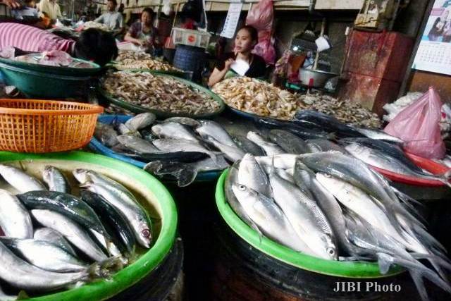  KKP Minta Pedagang Ikan Bentuk Koperasi untuk Perluas Pemasaran