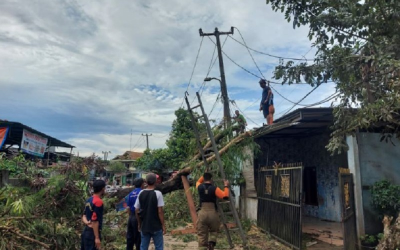  Tangerang Kerahkan Petugas untuk Bereskan Pepohonan yang Tumbang