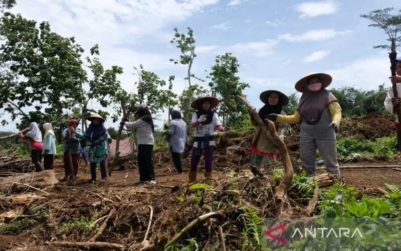  Tol Bawen-Yogyakarta, Warga Mendapat Hibah Empat Hektare 