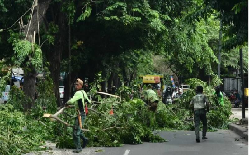  Peringatan BMKG! Jabodetabek dan 4 Provinsi Ini Dilanda Angin Kencang Dua Hari ke Depan