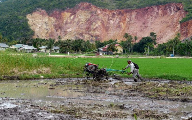 ACEH BESAR, ACEH, 31/12 - PRODUKTIFKAN RAWA GAMBUT. Petani mengolah lahan rawa gambut untuk tanaman padi di Desa Keudebing, Lhoknga, Aceh Besar, Aceh, Senin (31/12). Seluas 144.000 hektare lahan rawa gambut di Aceh, sebagian mulai diproduktifkan untuk tanaman padi dan palawija guna meningkatkan penghasilan petani dan ketahanan pangan./Antara-Ampelsa