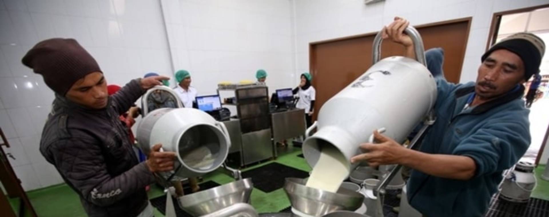 Pengembangan industri pengolahan susu oleh PT Frisian Flag Indonesia. / dok. Frisian Flag