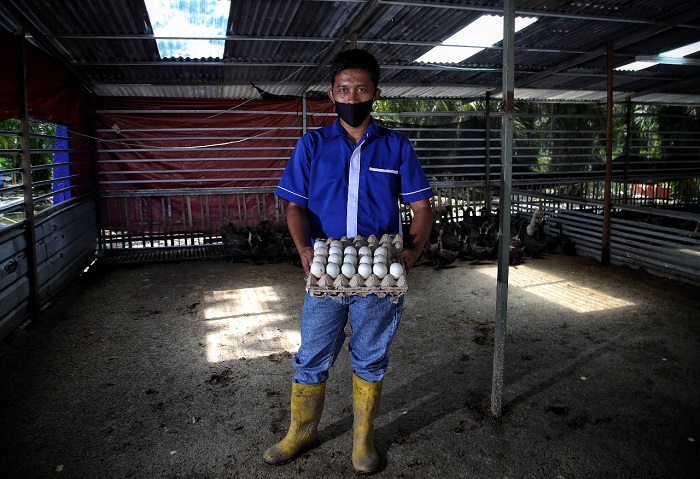  Olahan Limbah Organik Inalum, Bantu Tingkatkan Omset Bisnis Kecil Saat Pandemi