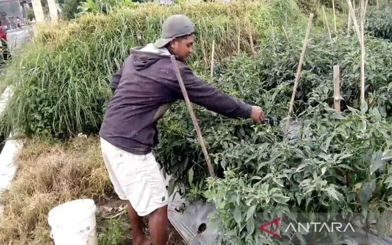  Hujan Abu Tipis Melanda Delapan Dukuh di Boyolali