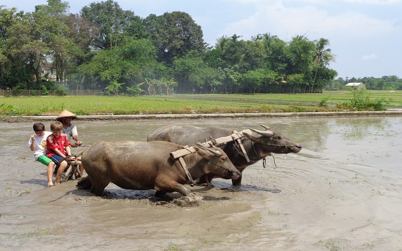  PPKM Level 4, Objek Wisata di Bantul Tetap Buka, tapi...