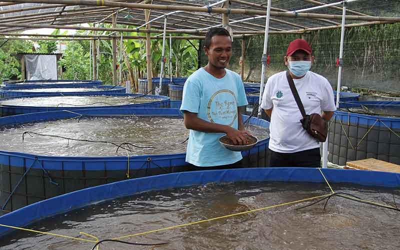  Yayasan KEHATI Kembangkan Budi Daya Ikan Nila Sistem Bioflok