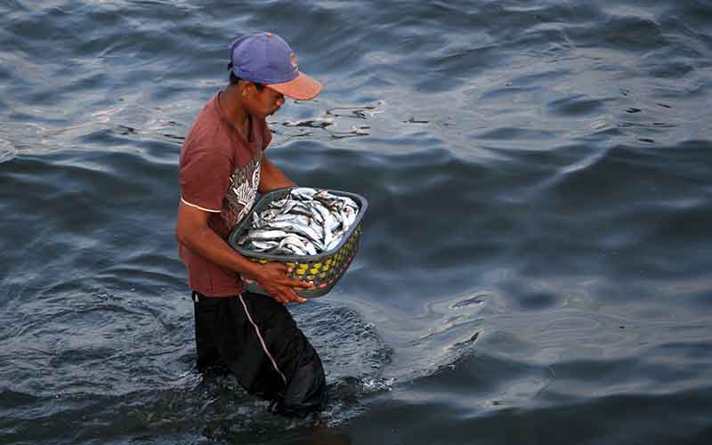  Target Konsumsi Ikan Nasional Pada 2022 Sebanyak 59,33 Kilogram Per Kapita