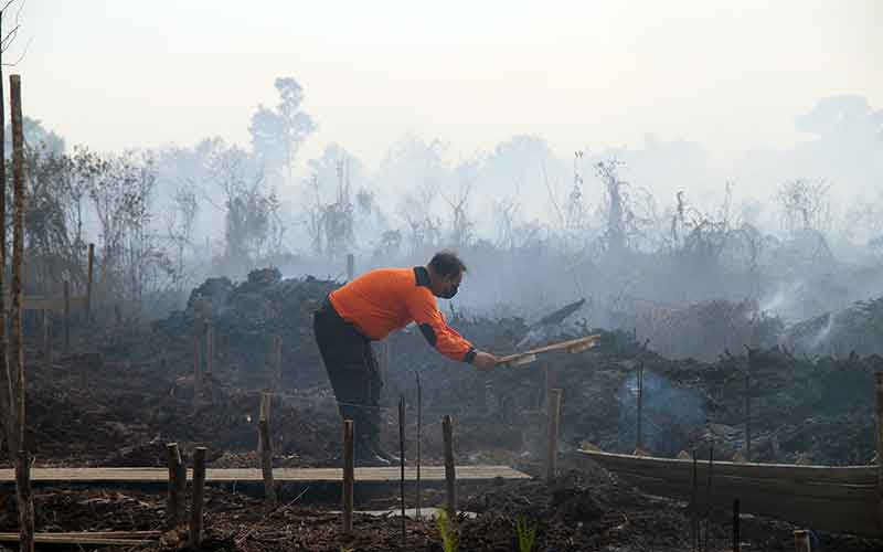  Kebakaran Hutan dan Lahan Gambut Terjadi di Kalimantan Barat