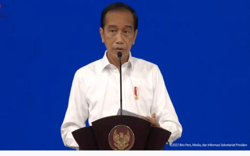  Hyundai Luncurkan Ioniq Versi Lokal, Jokowi Gembira