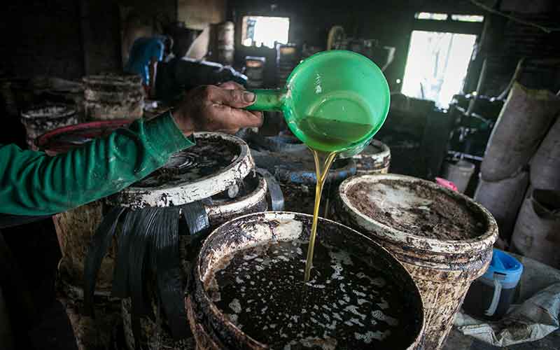  Minyak Goreng Langka, Perajin Kasur di Jateng Membuat Minyak Goreng Dari Limbah Biji Kapuk