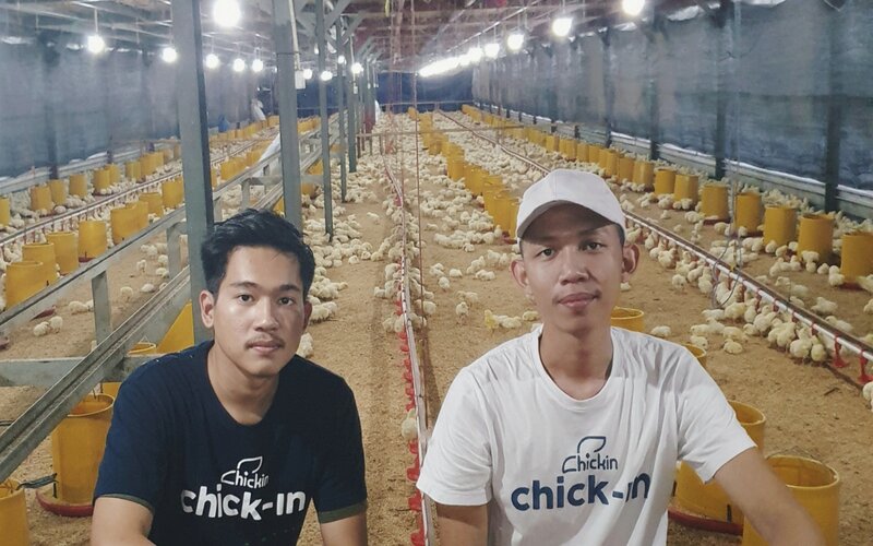  Perusahaan Rintisan Chickin Optimistis Cetak Cuan dari Ayam