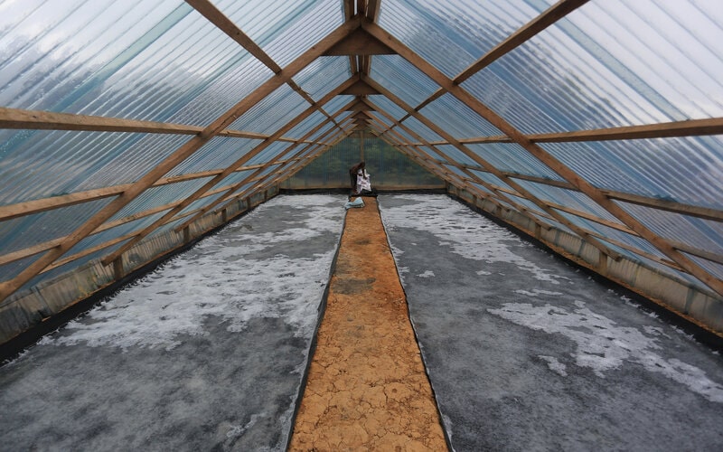  Tata Niaga Garam, Ini Delapan Rekomendasi Petani ke Pemerintah