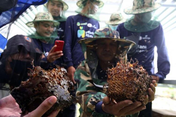  Pelatihan Petani Milenial Lebah Madu