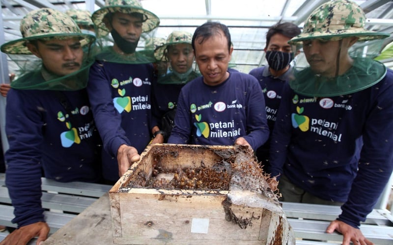  Jelajah Petani Milenial Juara: Ingin Sukses Ternak Lebah Madu, Ini Saran Kadishut Jabar