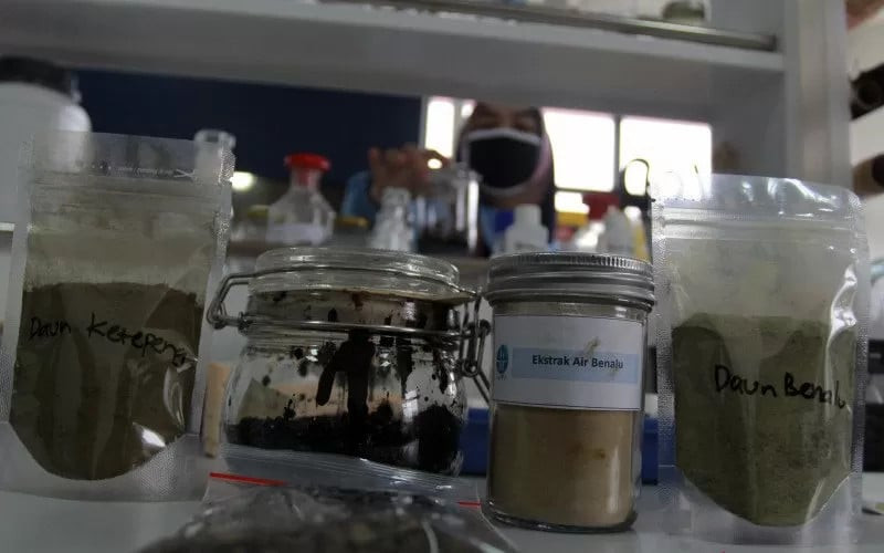  Menanti Rencana Aksi Pengembangan Obat Herbal Pascapandemi