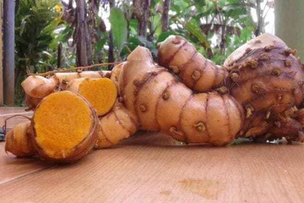  Sejarah Hadirnya Jamu, Minuman Indonesia yang Diajukan Jadi Warisan Tak Benda UNESCO