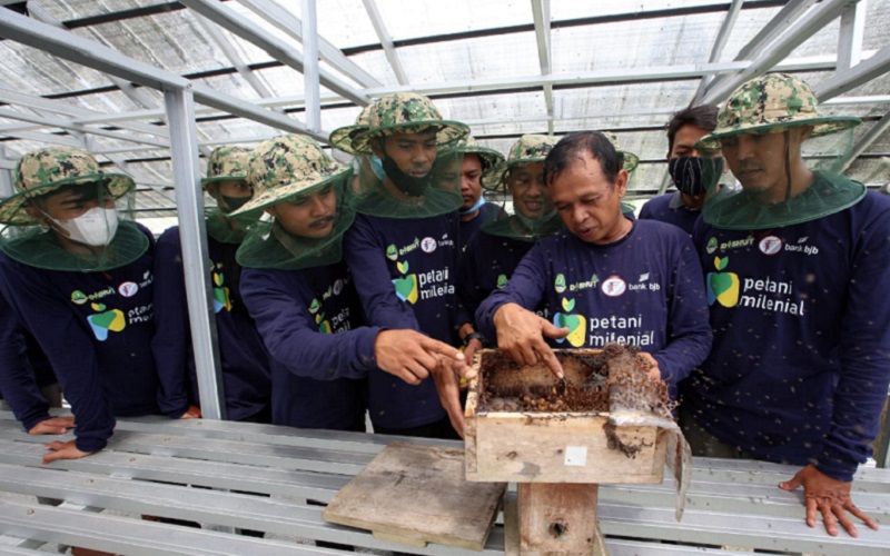 Jelajah Petani Milenial Juara: Dulu PKL, Supardi Sukses Raup Cuan dari Lebah Madu
