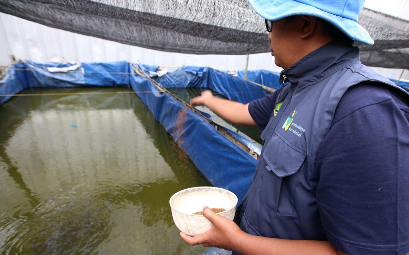  Jelajah Petani Milenial Juara: Pemprov Jabar Diminta Tidak Lupa Mendidik Anak-Anak Petani