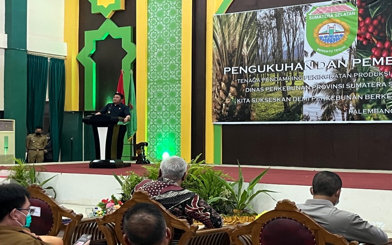  Soal Minyak Goreng, Gubernur Sumsel Aneh Kebun Sawit Luas Malah Langka