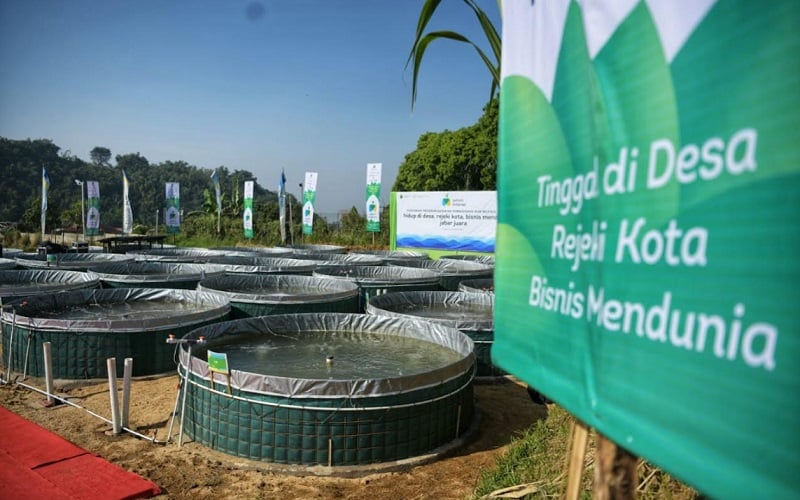  Jelajah Petani Milenial: Menjadi Petani Milenial Itu Harus Berani Jatuh Lalu Berdiri Lagi!