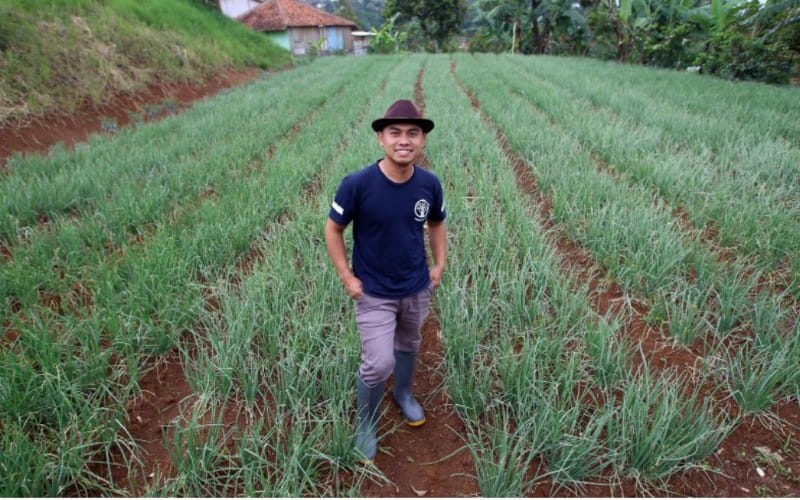  Jelajah Petani Milenial Juara: Ujang Bawa Bawang Merah Tembus Pasar Modern dan Luar Jawa