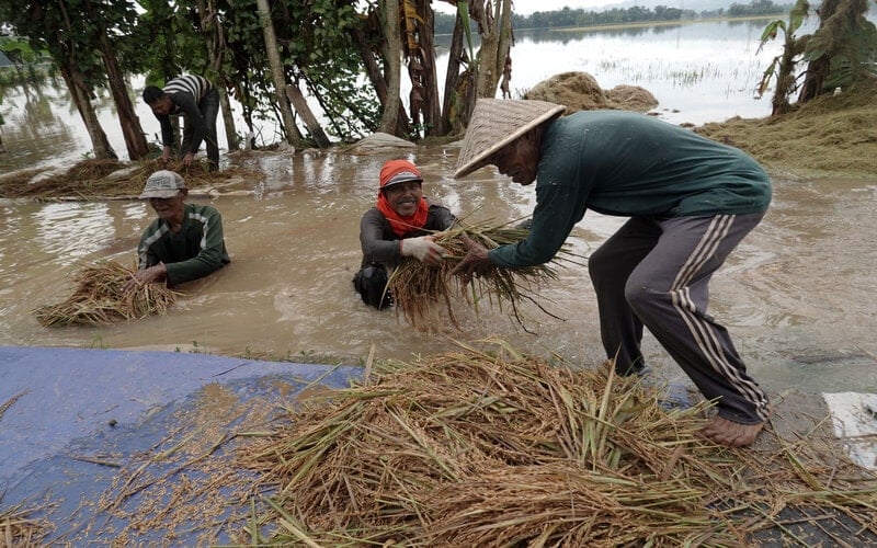  Stok Pangan Jateng Aman, Tapi Harga Fluktuatif