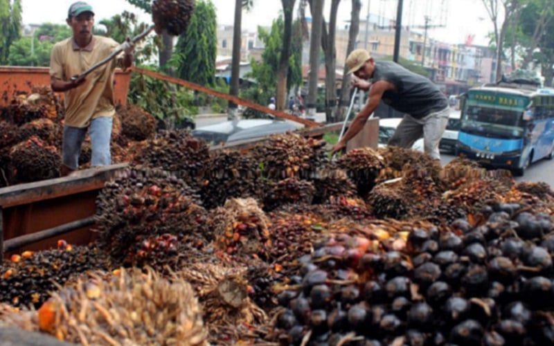  Catat! Truk Angkut Kelapa Sawit hingga Galian C Sudah Dilarang Beli Solar Subsidi di SPBU