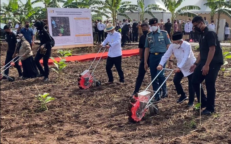  Wapres Tanam Jagung dan Kedelai dengan Metode Tumpang Sari di Purwakarta