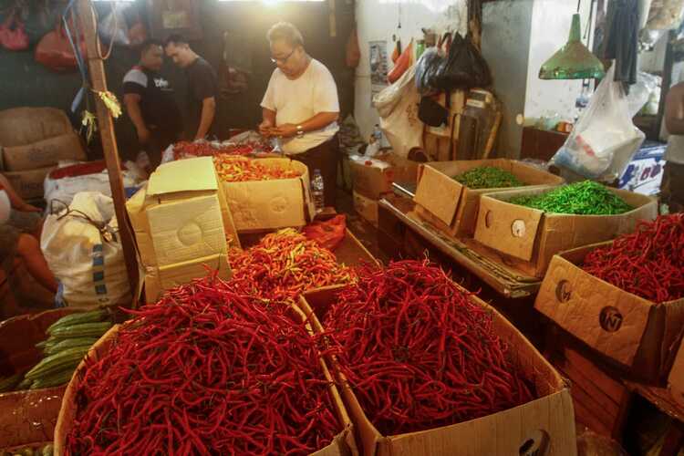  Cabai Merah Penyumbang Utama Inflasi