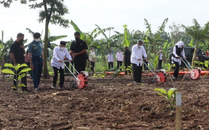  Selain Padi, Purwakarta Mulai Fokus Pengembangan Jagung dan Kedelai