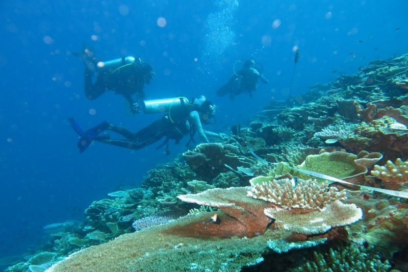  Menghadirkan Ekonomi Biru di Kawasan Wisata Laut