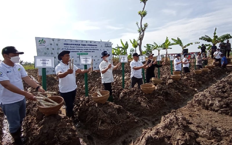  PTPN IX dan Pemkab Batang Jalin Kerja Sama Perluasan Lahan Tebu