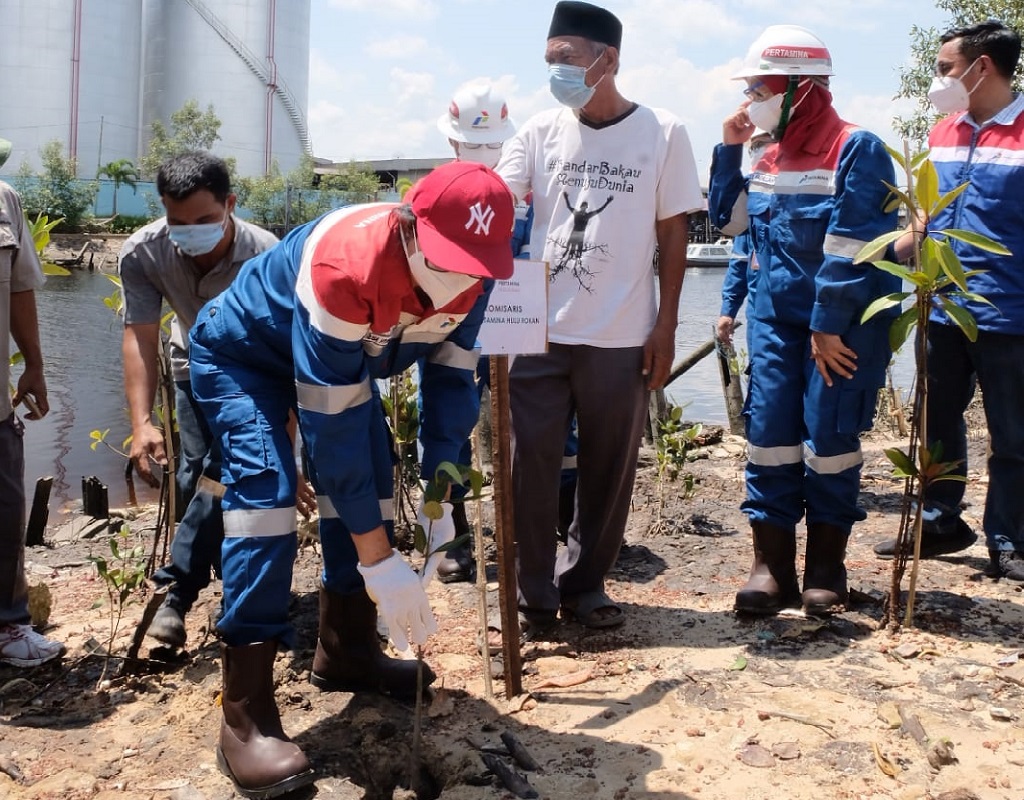  Dewan Komisaris dan Manajemen PHR Tanam Bakau di Dumai