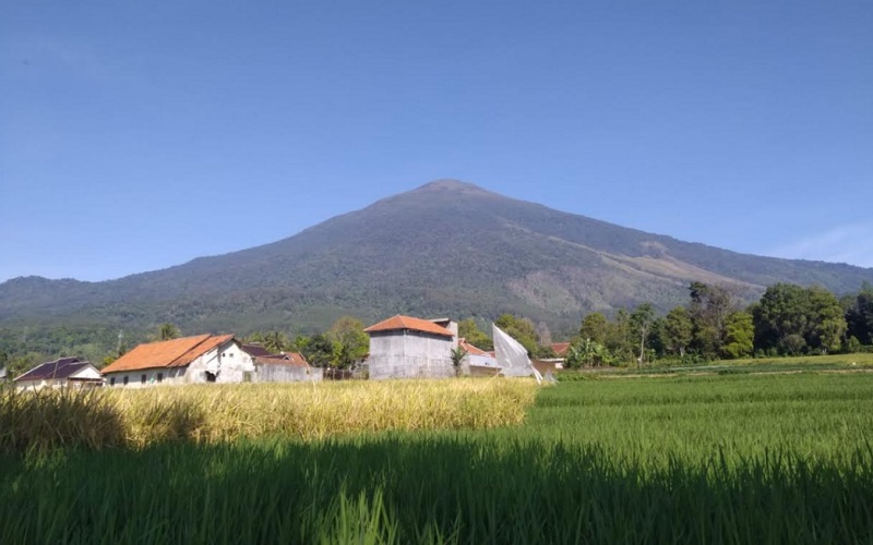  Petani di Lereng Taman Nasional Gunung Ciremai Minta Dibuatkan Zona Tradisional