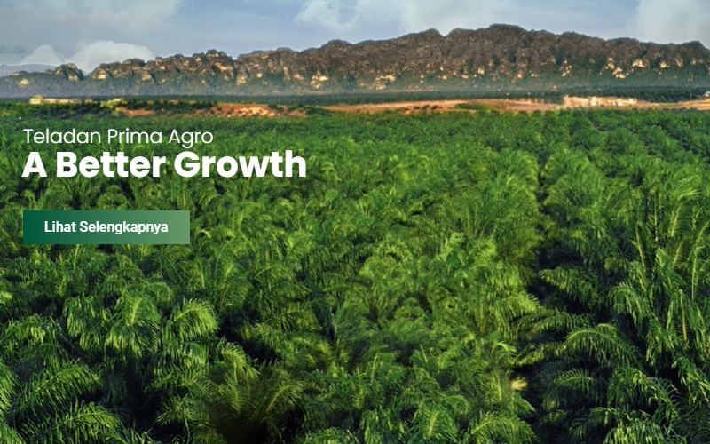  Teladan Prima Agro (TLDN) Tetapkan Harga IPO di Level Rp580.