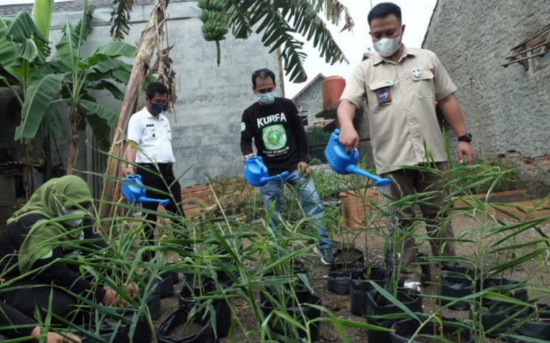  Melalui Program Kurfa, Pupuk Kujang Dorong IRT Berpenghasilan dari Lahan Sempit