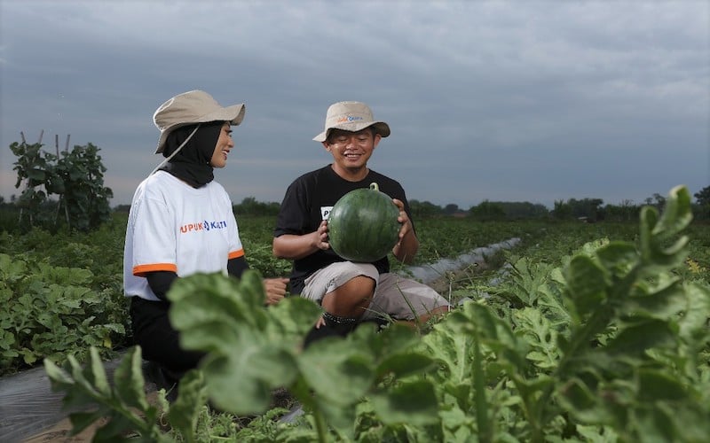  Peran Generasi Milenial Bantu Wujudkan Pertanian Modern