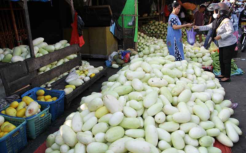  Penjualan Timun Suri Meningkat Hingga Dua Kali Lipat Saat Ramadan