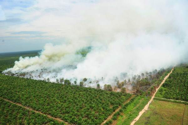  Atasi Karhutla, Riau Tunggu Kiriman Bantuan Helikopter