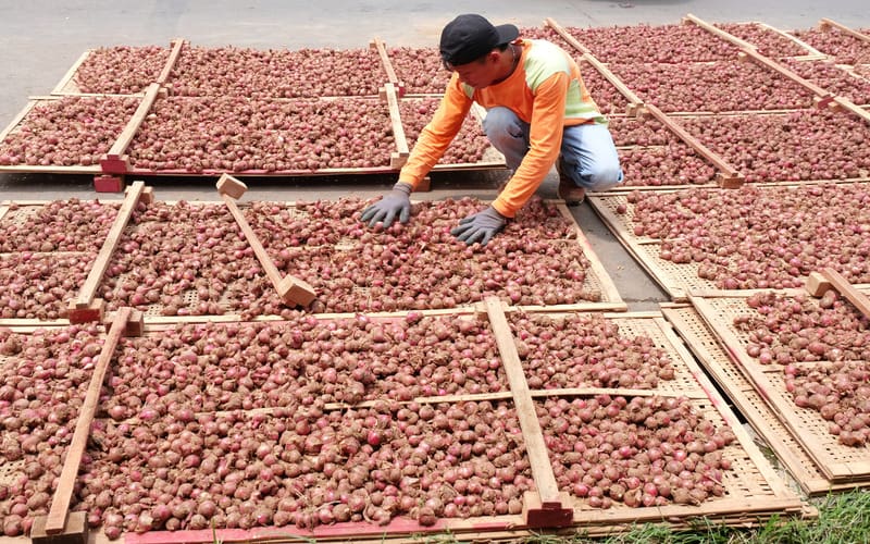  Pakar Ekonomi Pertanian Unnes Ingatkan Pentingnya Modernisasi Alsintan