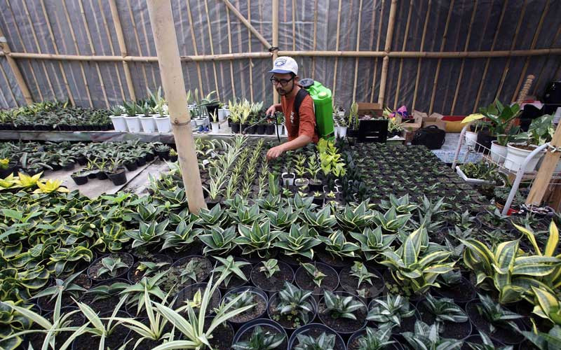  Petani Melenial di Jawa Barat Berhasil Memasarkan Produknya ke Mancanegara