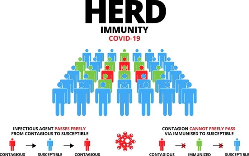  Kebal dari Covid-19 Sebagai Tanda Herd Immunity?