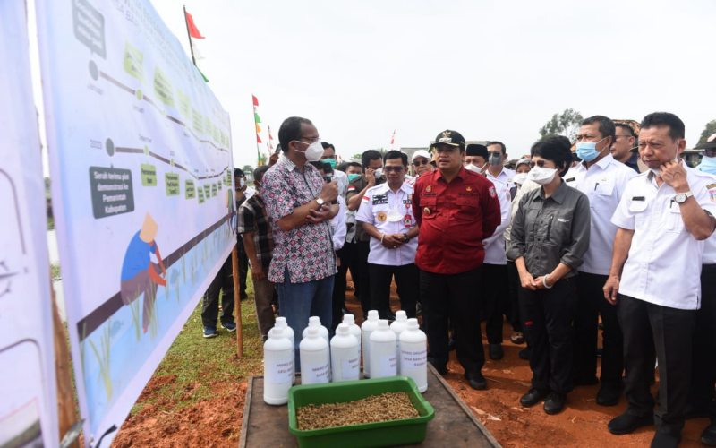  Petani di Lahan Gambut Banyuasin Kembangkan Mina Padi