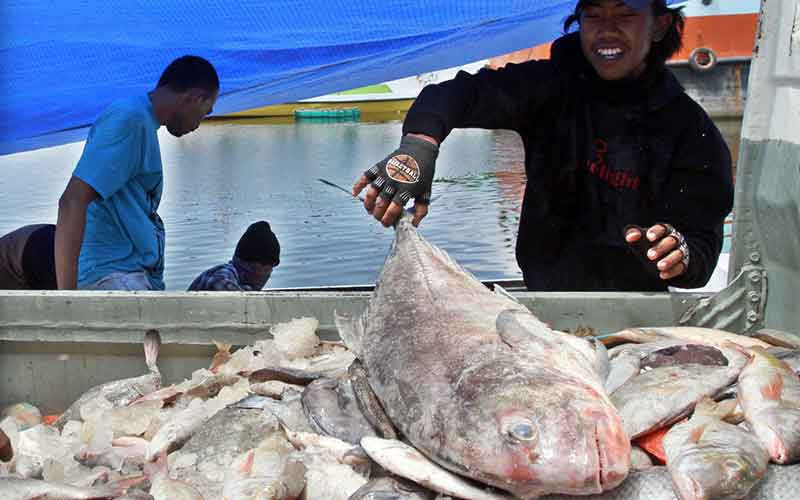  KKP Jamin Stok Ikan Pada Bulan Ramadan dan Idul Fitri Mencukupi