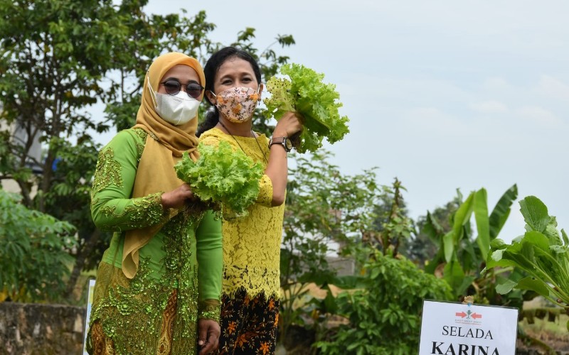  Wanita Tani Ikut Berperan dalam Produksi Benih Unggulan Ewindo