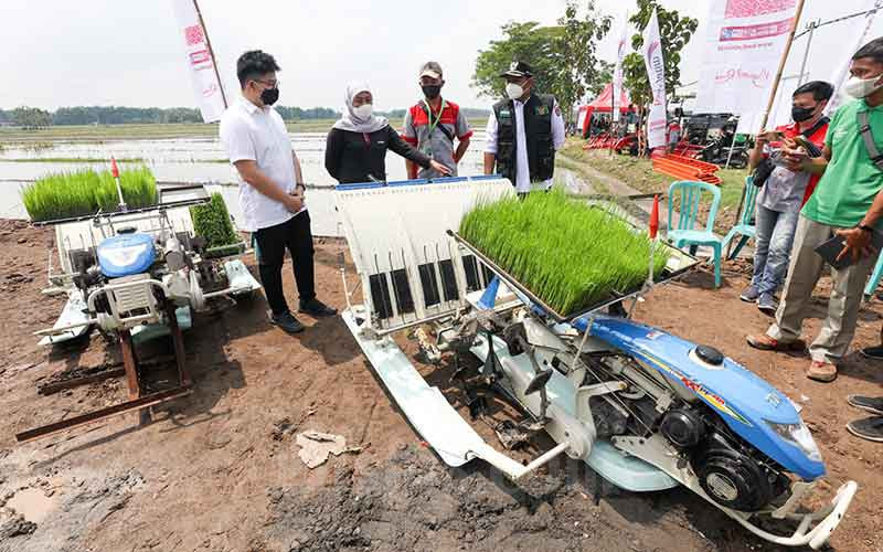  PT Maxxi Tani Teknologi Melakukan Penanaman Padi Menggunakan Maxxi Rice Transplanter